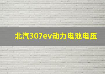 北汽307ev动力电池电压