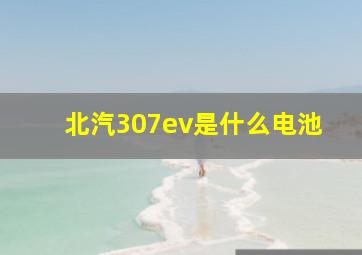 北汽307ev是什么电池