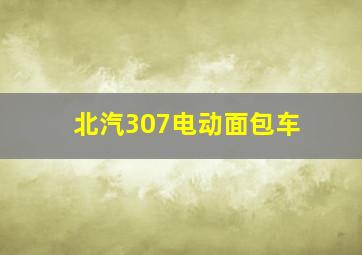 北汽307电动面包车