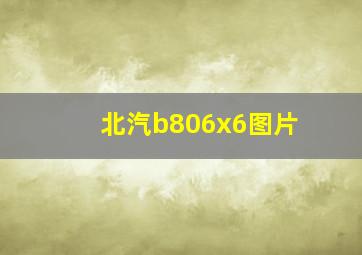 北汽b806x6图片