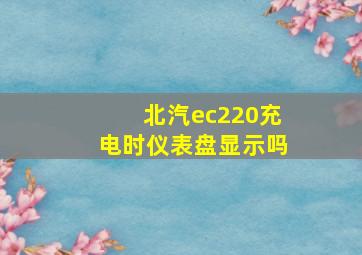 北汽ec220充电时仪表盘显示吗