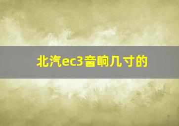 北汽ec3音响几寸的