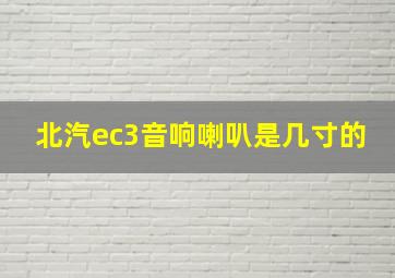 北汽ec3音响喇叭是几寸的