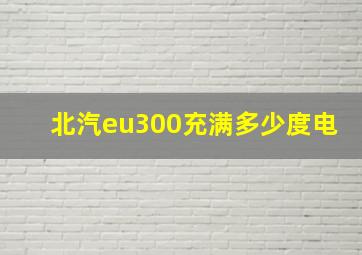 北汽eu300充满多少度电