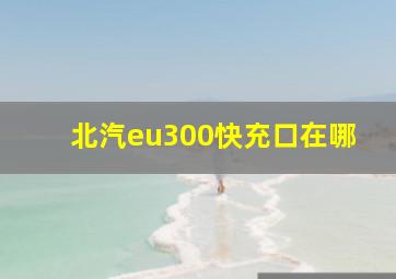 北汽eu300快充口在哪