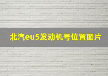 北汽eu5发动机号位置图片