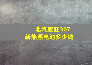 北汽威旺307新能源电池多少钱