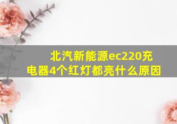 北汽新能源ec220充电器4个红灯都亮什么原因