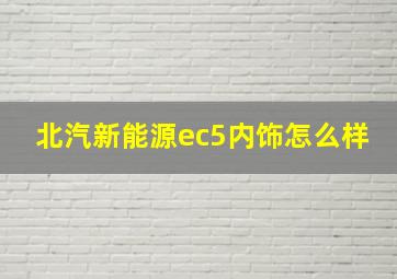 北汽新能源ec5内饰怎么样