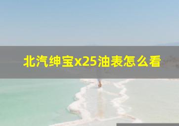 北汽绅宝x25油表怎么看