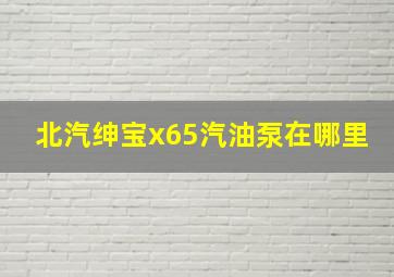 北汽绅宝x65汽油泵在哪里