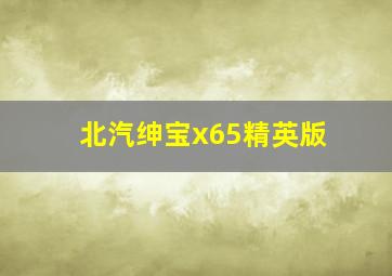 北汽绅宝x65精英版