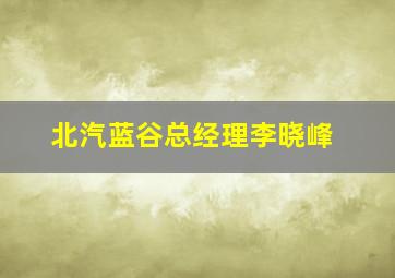 北汽蓝谷总经理李晓峰