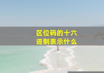 区位码的十六进制表示什么