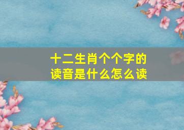 十二生肖个个字的读音是什么怎么读