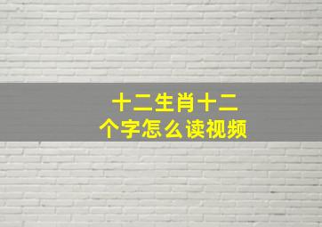 十二生肖十二个字怎么读视频