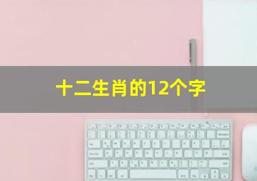 十二生肖的12个字