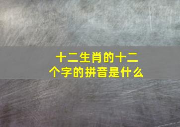 十二生肖的十二个字的拼音是什么