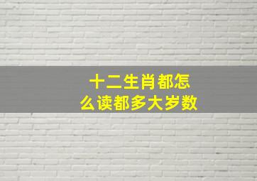 十二生肖都怎么读都多大岁数