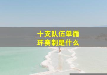 十支队伍单循环赛制是什么