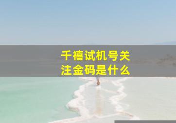 千禧试机号关注金码是什么