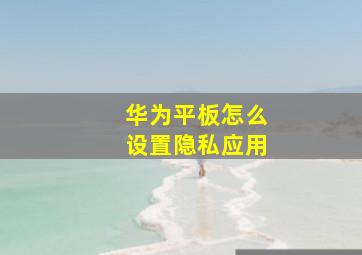 华为平板怎么设置隐私应用