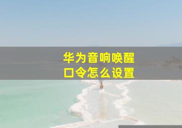 华为音响唤醒口令怎么设置