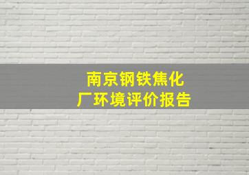 南京钢铁焦化厂环境评价报告