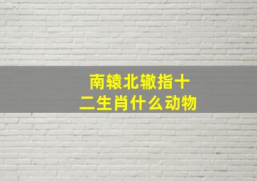 南辕北辙指十二生肖什么动物