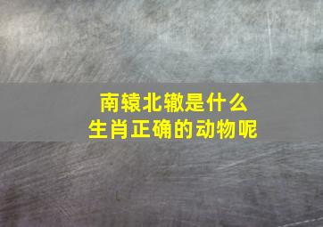 南辕北辙是什么生肖正确的动物呢