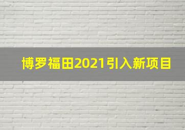 博罗福田2021引入新项目