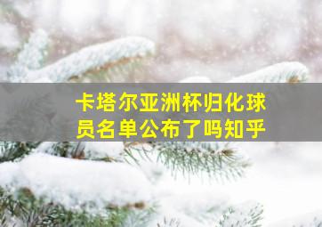 卡塔尔亚洲杯归化球员名单公布了吗知乎