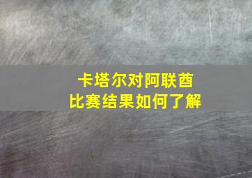 卡塔尔对阿联酋比赛结果如何了解