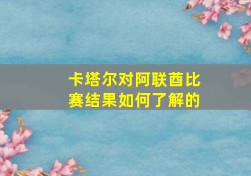 卡塔尔对阿联酋比赛结果如何了解的