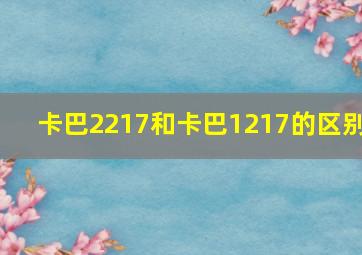 卡巴2217和卡巴1217的区别