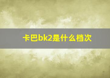 卡巴bk2是什么档次