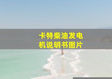 卡特柴油发电机说明书图片