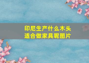 印尼生产什么木头适合做家具呢图片