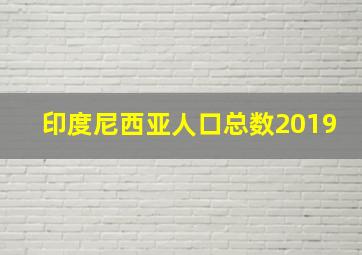 印度尼西亚人口总数2019