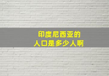 印度尼西亚的人口是多少人啊