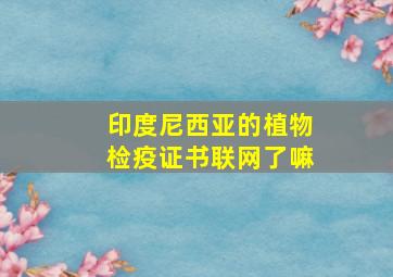 印度尼西亚的植物检疫证书联网了嘛