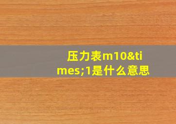 压力表m10×1是什么意思