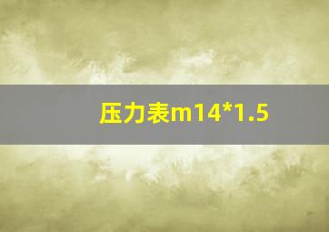 压力表m14*1.5