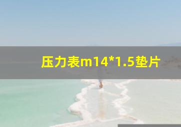 压力表m14*1.5垫片