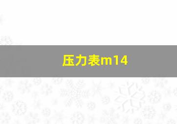 压力表m14