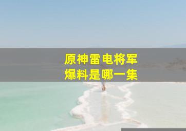 原神雷电将军爆料是哪一集