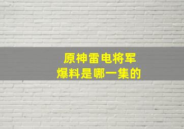 原神雷电将军爆料是哪一集的