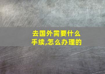 去国外需要什么手续,怎么办理的