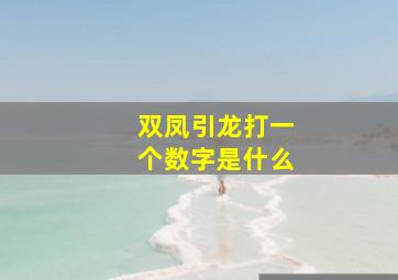 双凤引龙打一个数字是什么