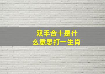 双手合十是什么意思打一生肖